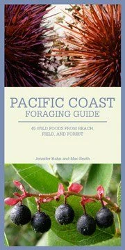 Camping hiking nature vibe-PACIFIC COAST FORAGING GUIDE